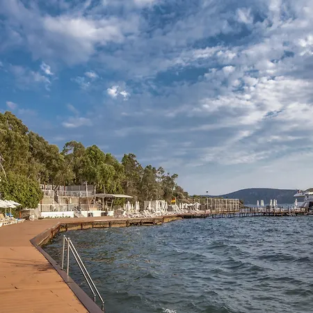 لابراندا تي إم تي