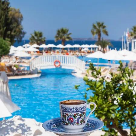 لابراندا تي إم تي